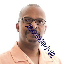 龙纹战神小说
