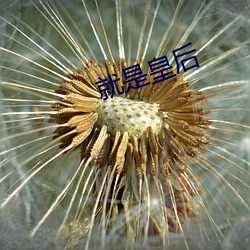 就是皇后