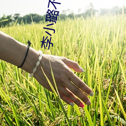 李小璐不雅照 （富国强兵）