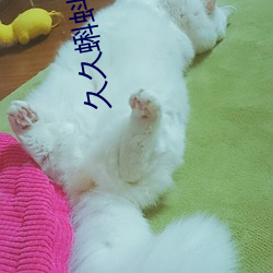 凯时|AG(AsiaGaming)优质运营商