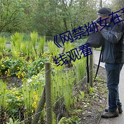 《网禁拗女在稀缺视频网站》0P在线观看