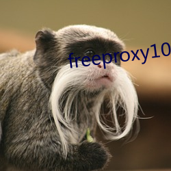 freeproxy100%hd