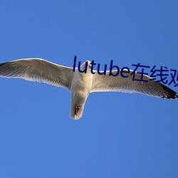 lutube在线观看 （移孝为忠）