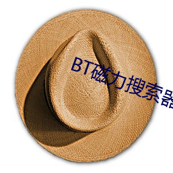 BT磁(cí)力搜索器