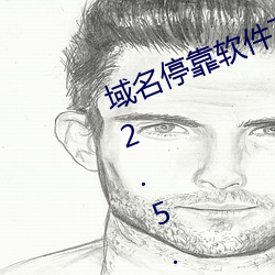 域名停靠(kào)软(ruǎn)件下载(zài)网站免费版安装(zhuāng)v2.5.8