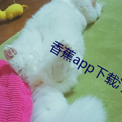 香蕉app下载汅api免费秋