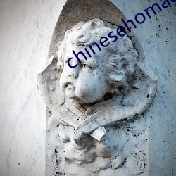 chinesehomadeviveo