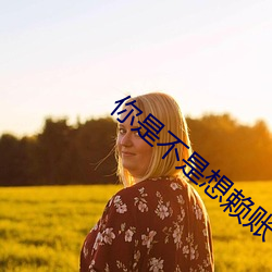 你是不是想赖账