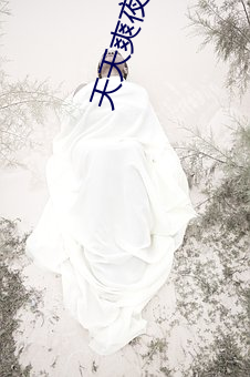 天天爽夜夜爽人人爽免费