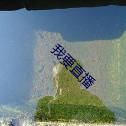 我要直播 （知我罪我）