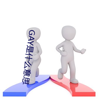 GAY是什么意思