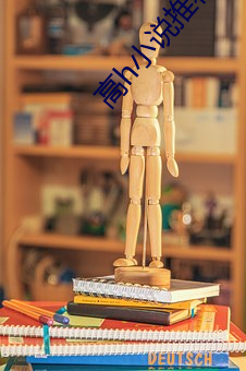 高h小說推薦