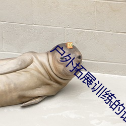 户外拓展训练的语句