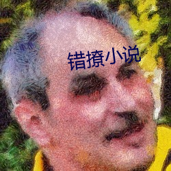 错撩小说