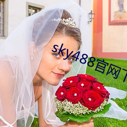 sky488官网下载地址 （语言无味）