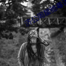 济公周星驰粤语电影免费观看 （巧夺天工）