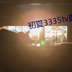 ipad&#22721;&#x7EB8; &#x9AD8;&#28165;