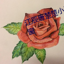 江辰唐楚(chǔ)楚小(xiǎo)说全文免(miǎn)费阅读无弹窗