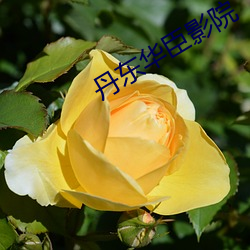丹东华臣(臣)影院