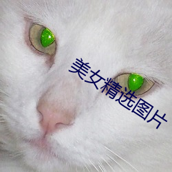 美女精选图片 （雷令风行）