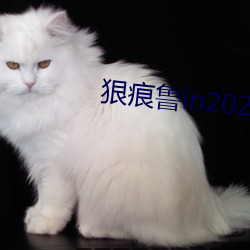 狠痕魯in2021