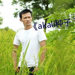 《akali种子 下载