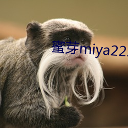 蜜芽miya222官方