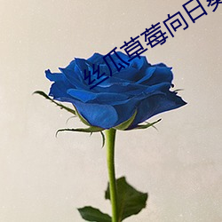 丝(sī)瓜(guā)草莓向日葵芭比小(xiǎo)猪下载安装