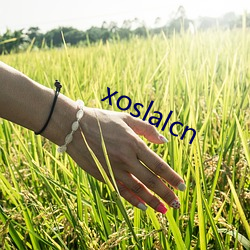 xoslalcn （信息产业）