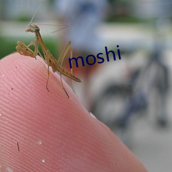 moshi