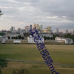 沈芯語視頻md0076