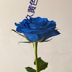 金年会 | 诚信至上金字招牌