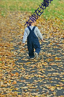 本能在线观看 （驯鹿）