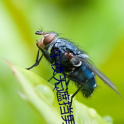 午(wǔ)夜无遮(zhē)挡(dǎng)男女啪(pā)啪免费软件