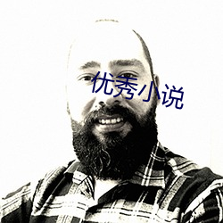 优(優)秀(秀)小(小)说