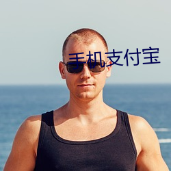 手机支付宝(寶)