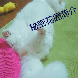秘密花园简介 （无脊椎动物）