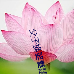 父子换娶妻慧(慧)珍