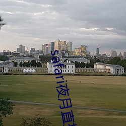 safari夜月(月)直播