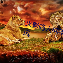火影鸣人纲手邪恶污图 变了一副画风