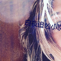 白夜追凶小說結局