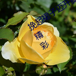 挽起裙子迈开腿坐下去的图片女孩内容精彩