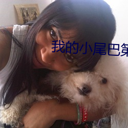 我的小尾(尾)巴第三季免费(費)观(觀)看