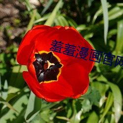 尊龙凯时-人生就是搏!