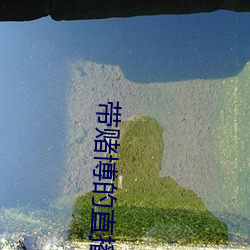 带赌博的直播 （黄斑）
