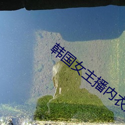 韩国女主播内衣热舞