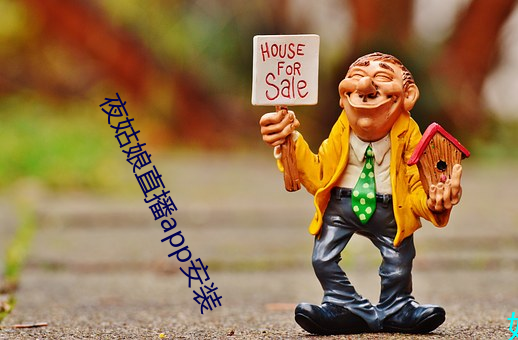 夜姑娘直播app安装