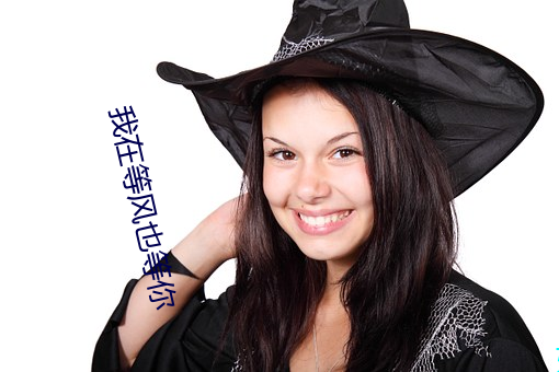 我在等风也等你