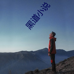 黑道小说 （大粪）