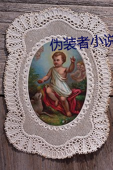 伪装者小说 （客源）
